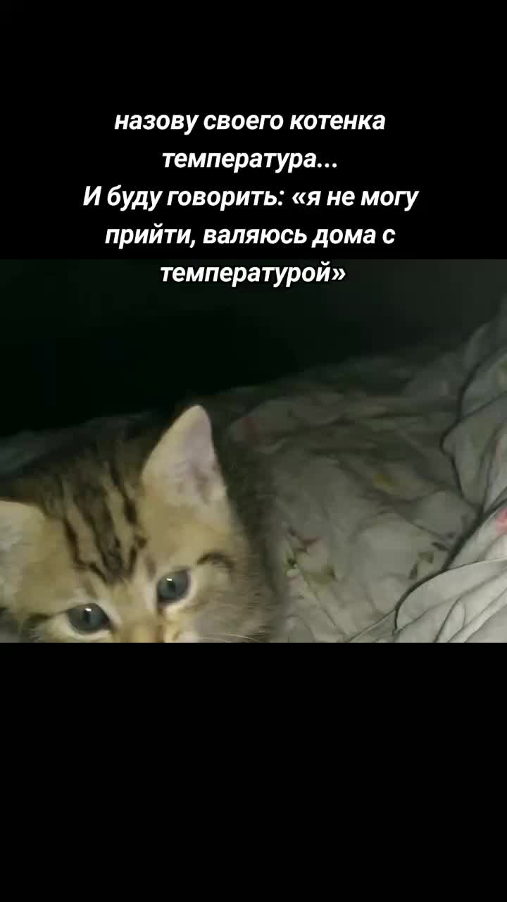 @Gelikskr