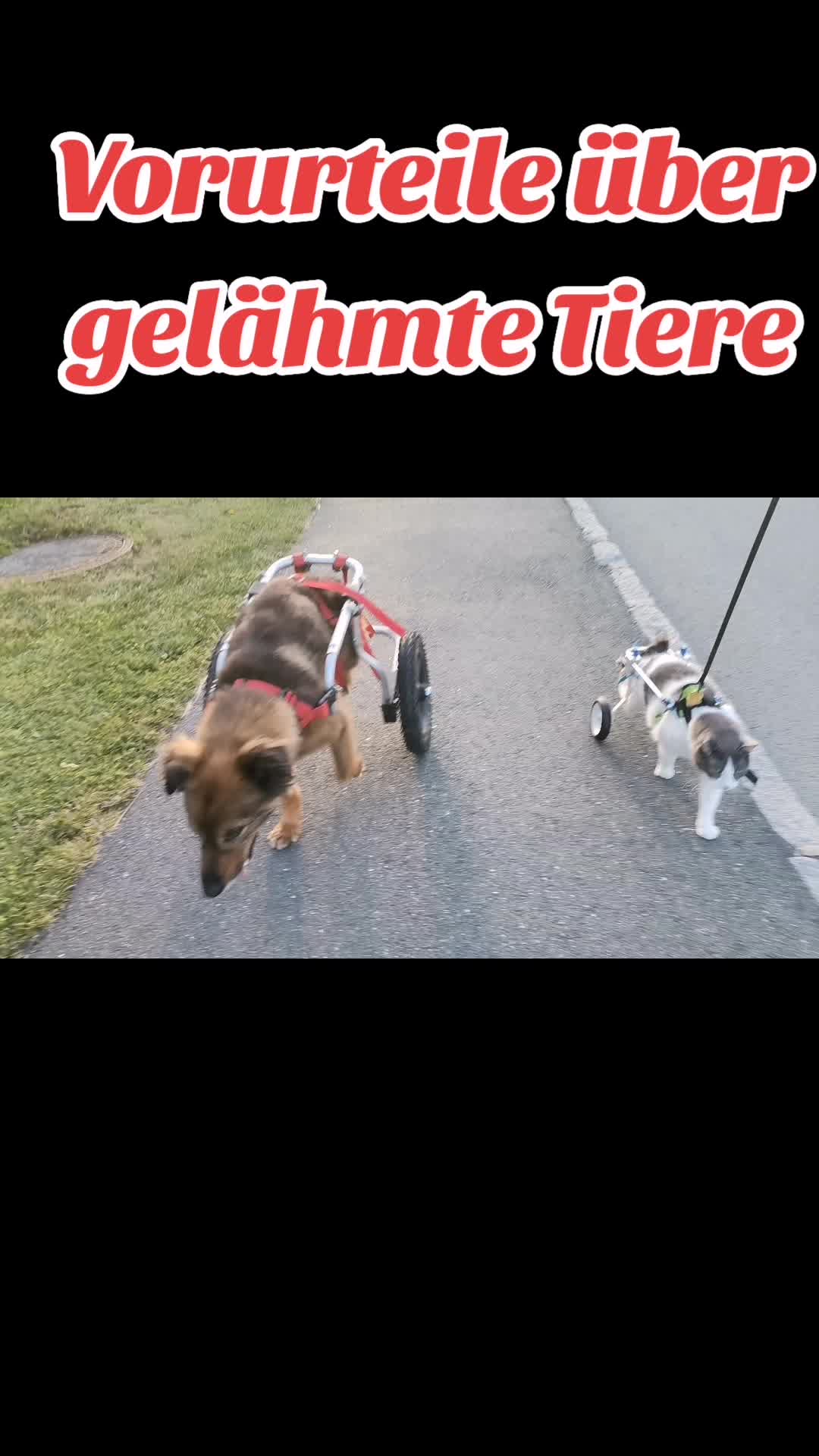 @Connysmultikultitruppe