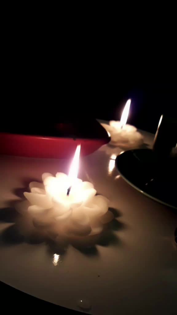 @Aysegul Gunes