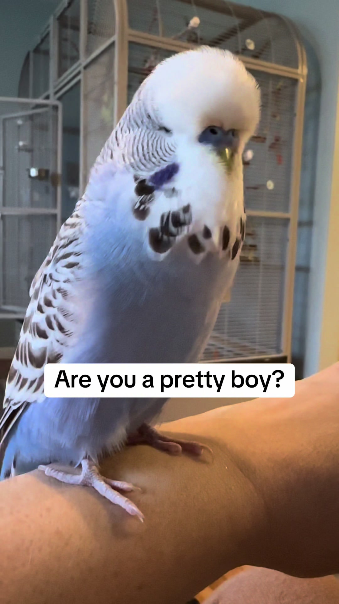 @Rupeedoo
