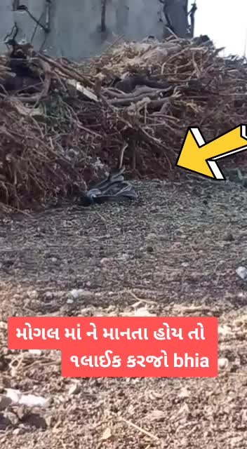 @rutu patel