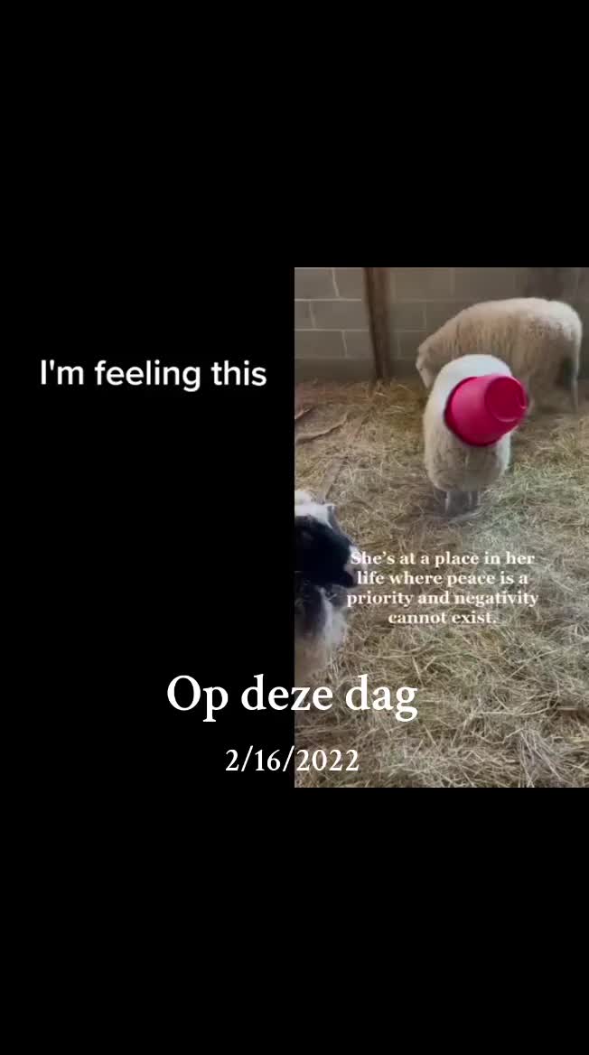 @Juf