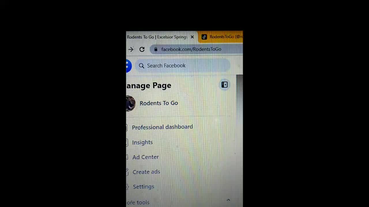 @RodentsToGo