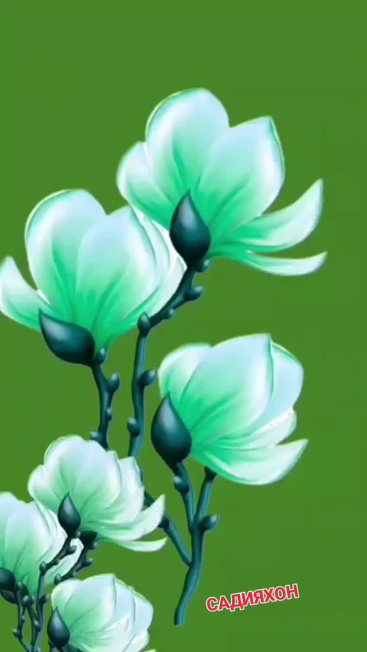 @САДИЯХОН