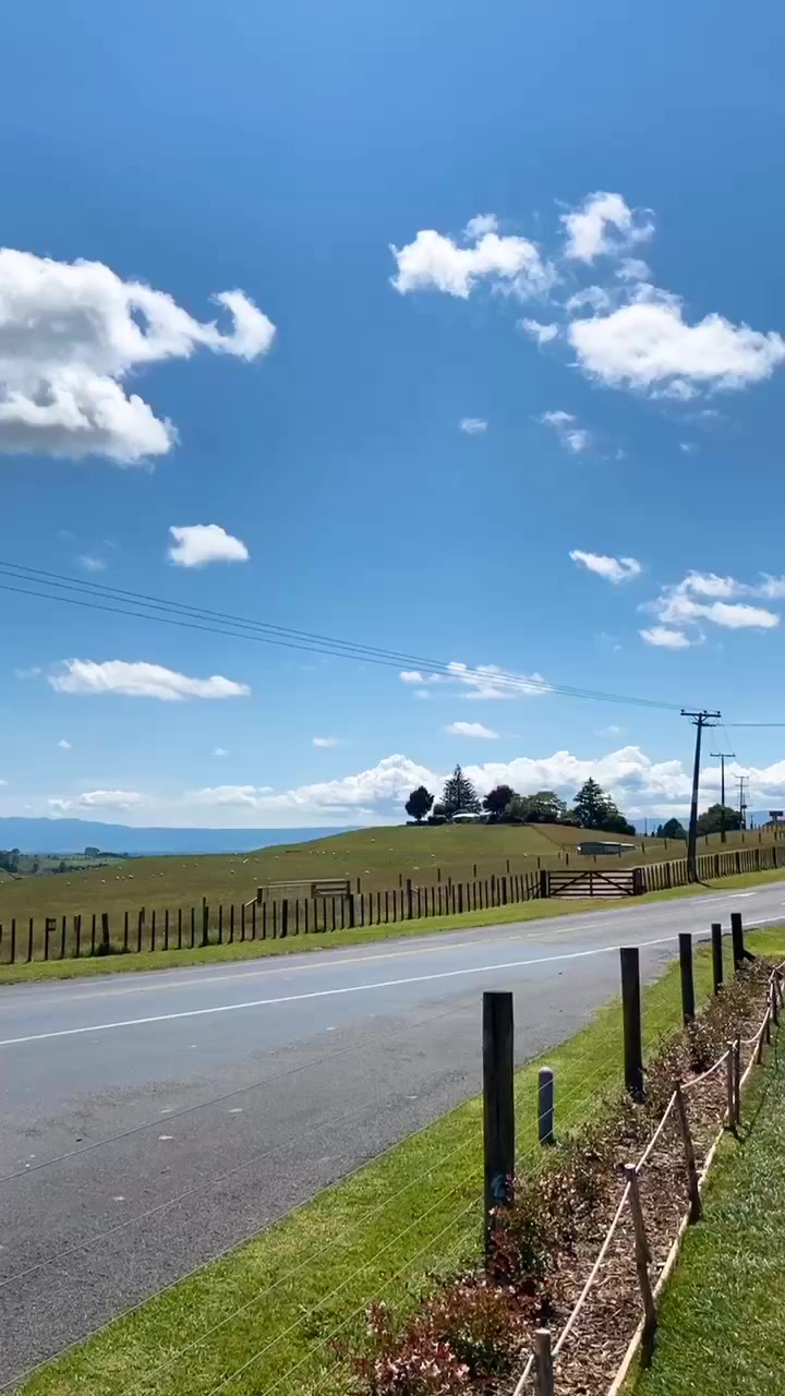 @Syd 🐟🦭🐡