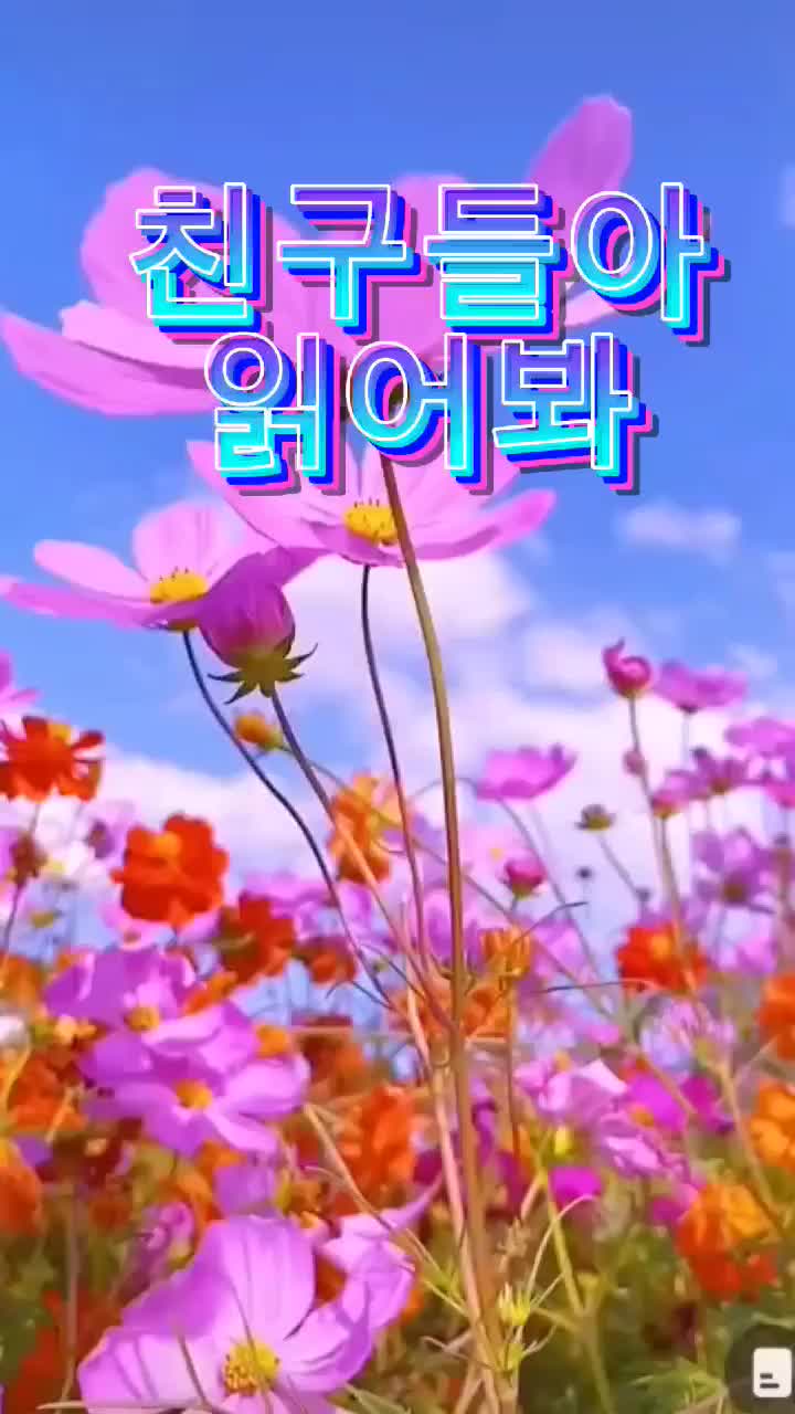 @바라보기