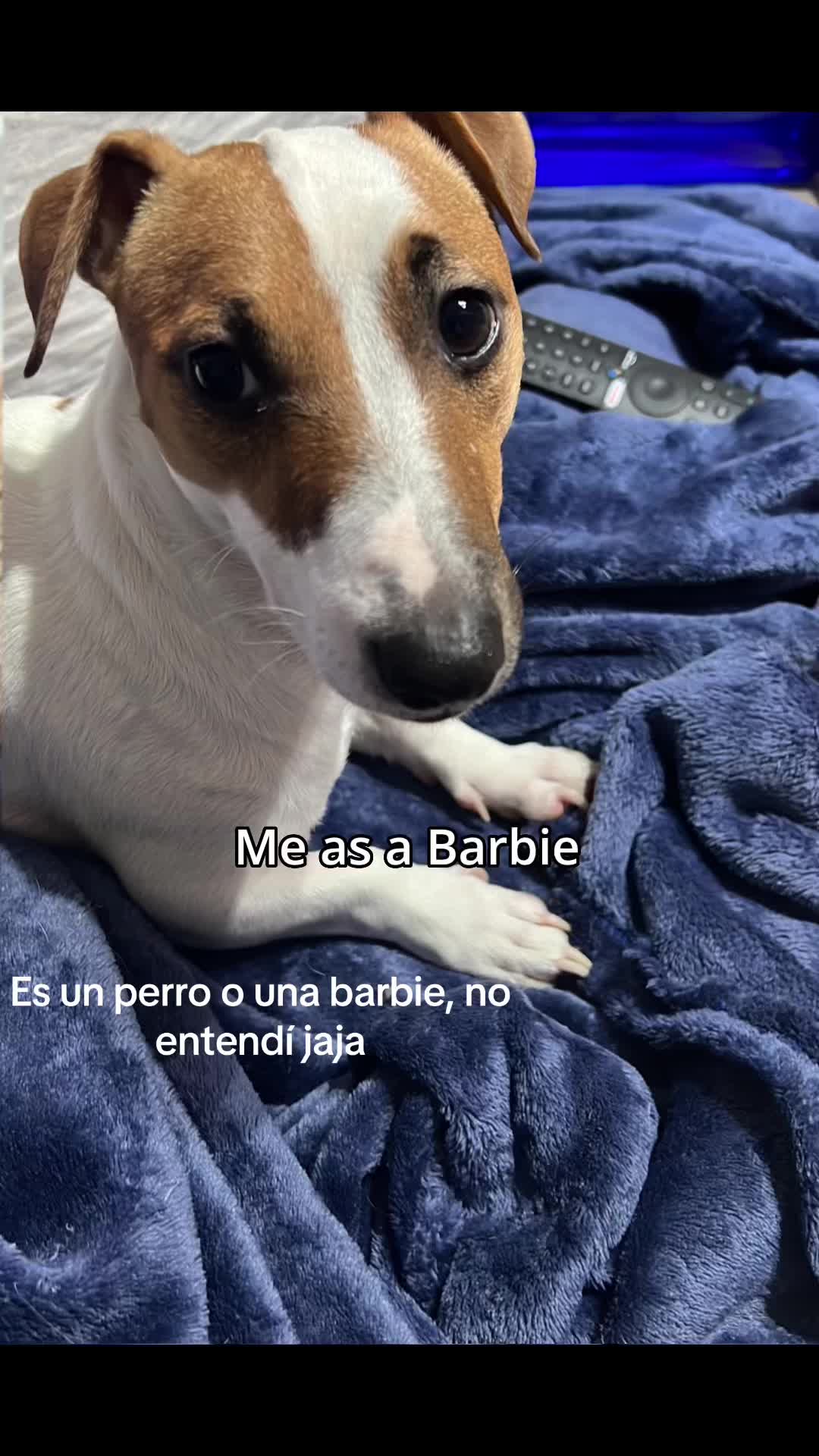 @Tami