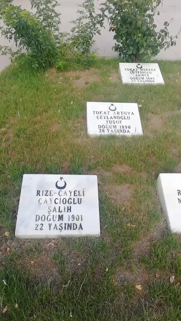 @Alimerdan Cansu Sevik