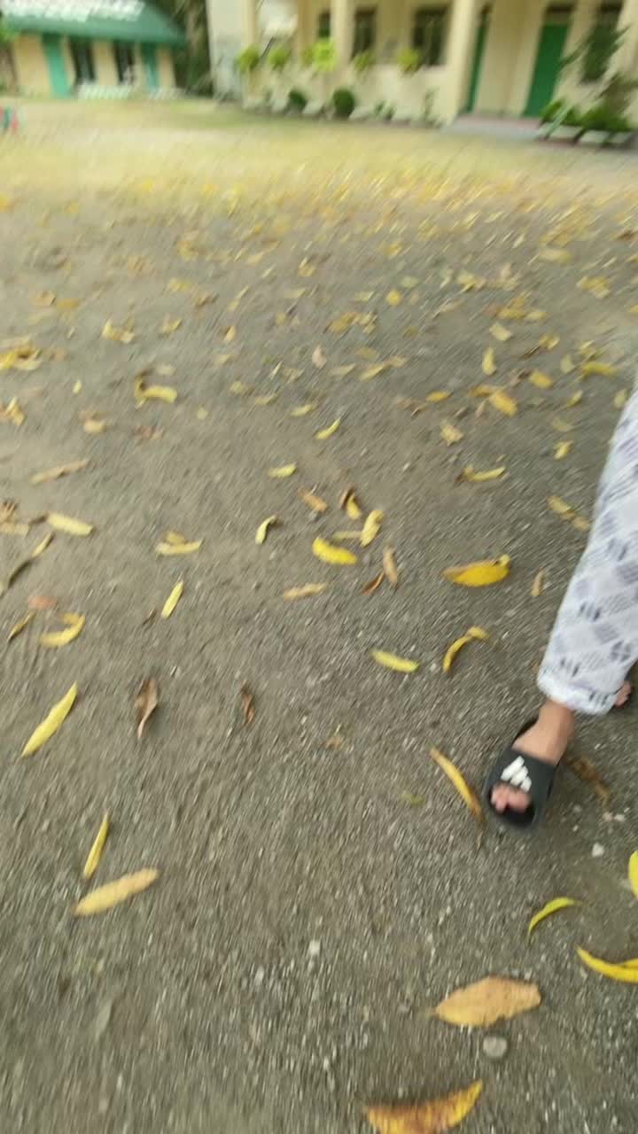 @roxyfarts