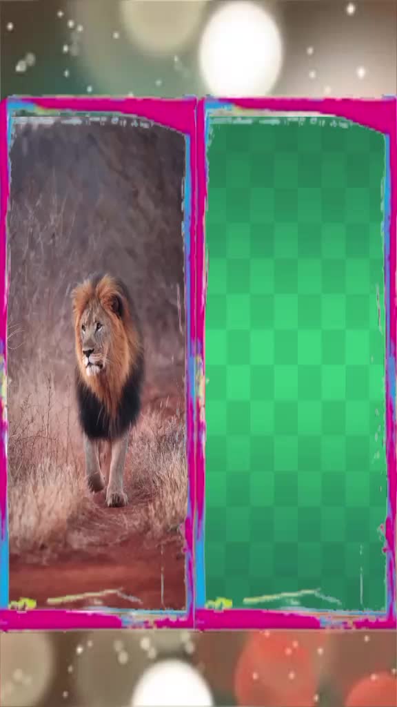 @Ashanvirk