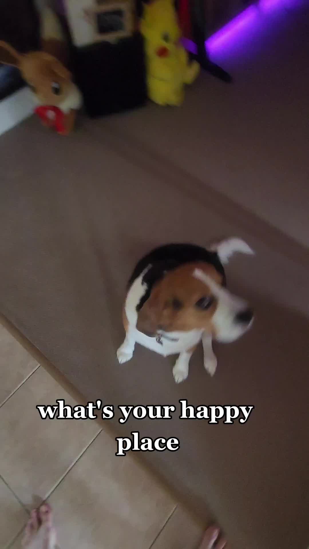 @woody