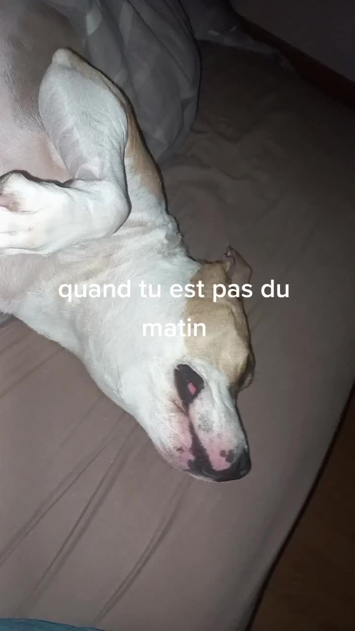 @Orsu