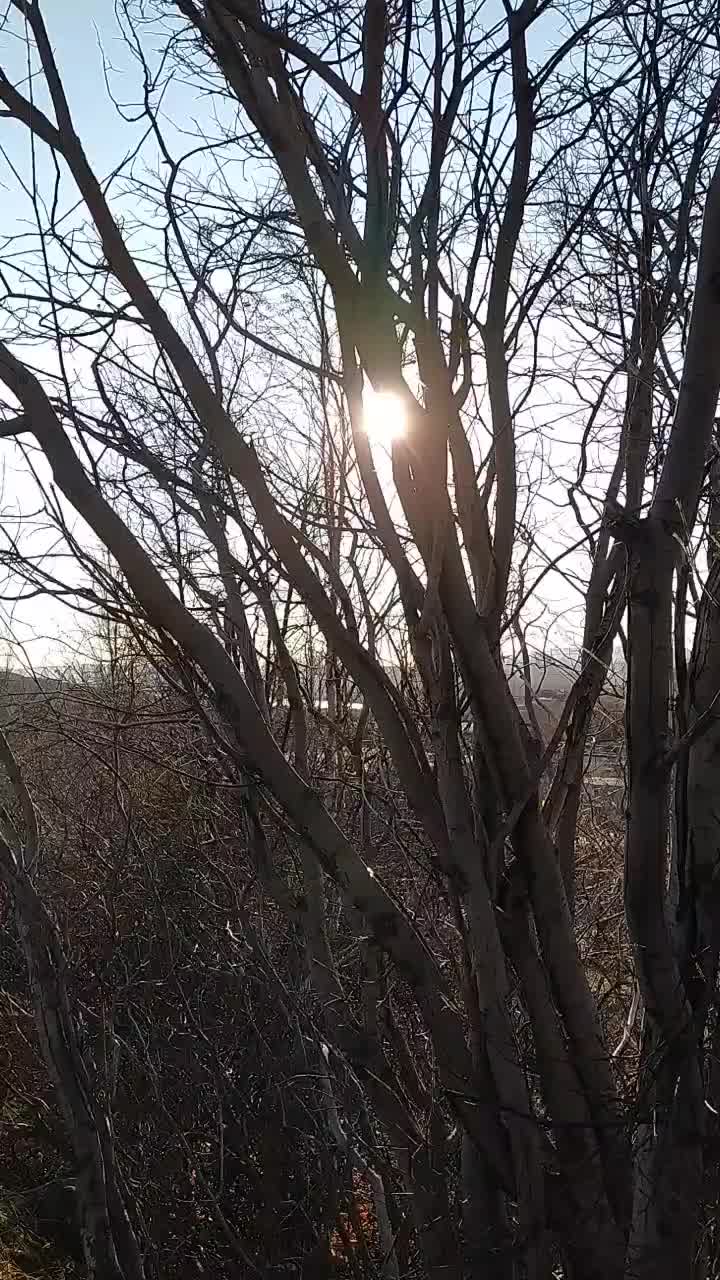 @Марина