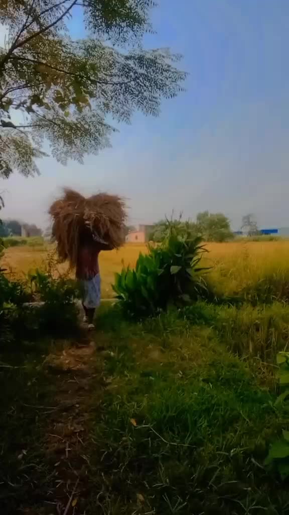 @From&mdash; Kapilvastu02