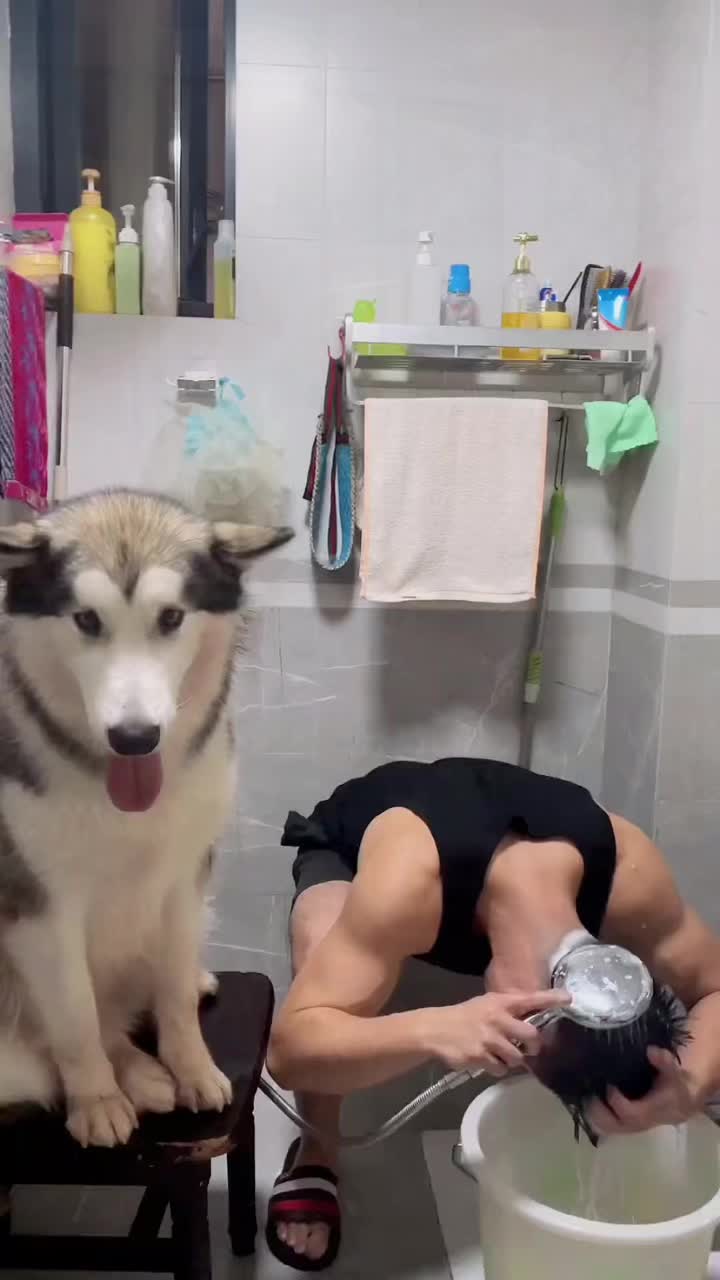 @Rufeng518