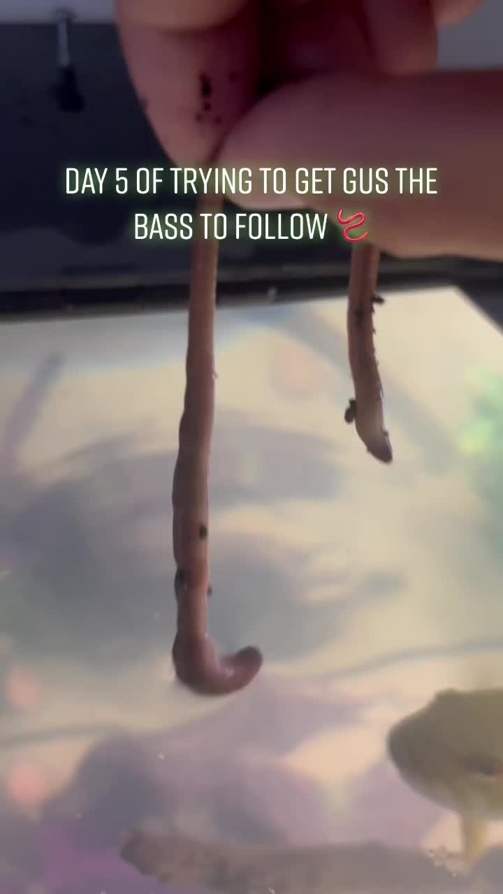 @Grub_the_bass