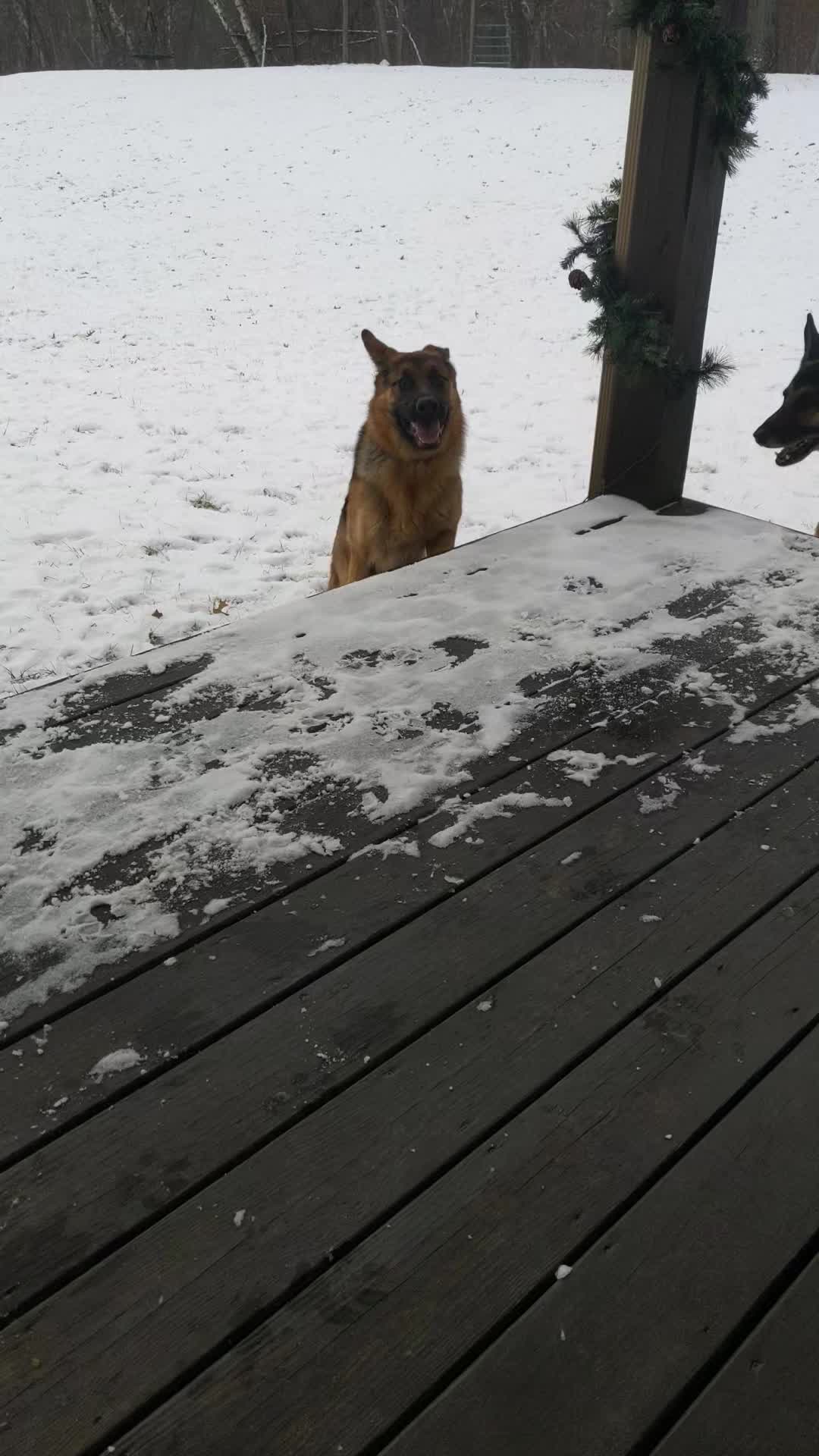 @Kolt - GSD