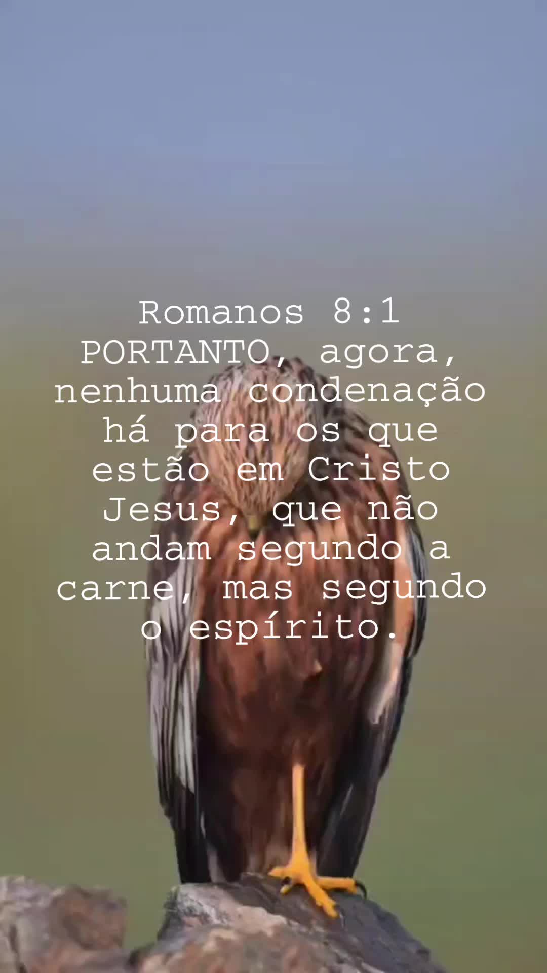 @👑@Justiça 💎🦅🌻