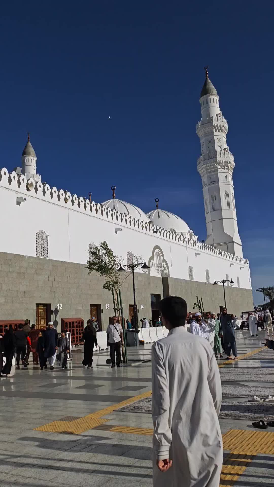 @Mudassar Iqbal 🇵🇰🇦🇹🇲🇦