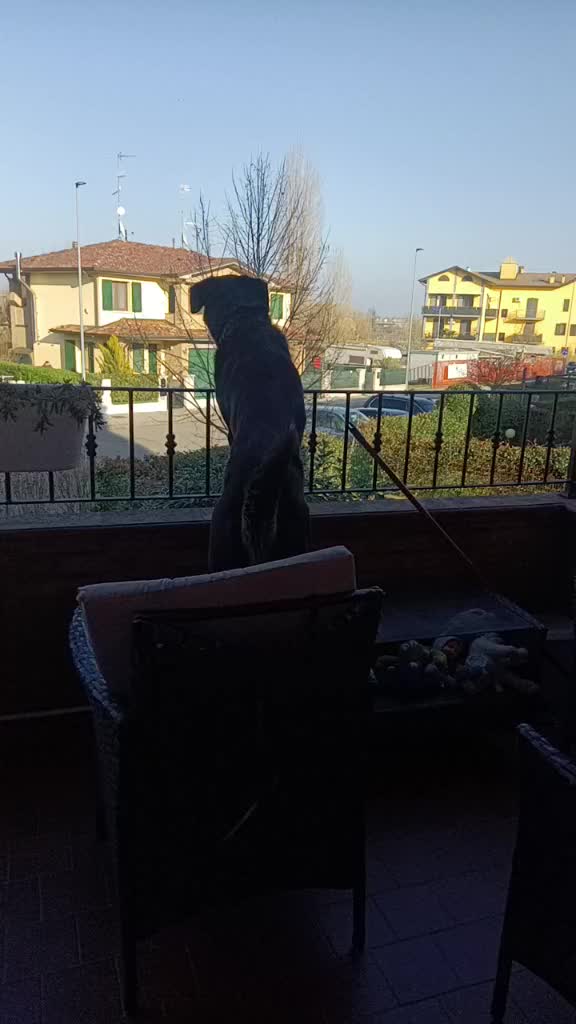@Elena Boscolo
