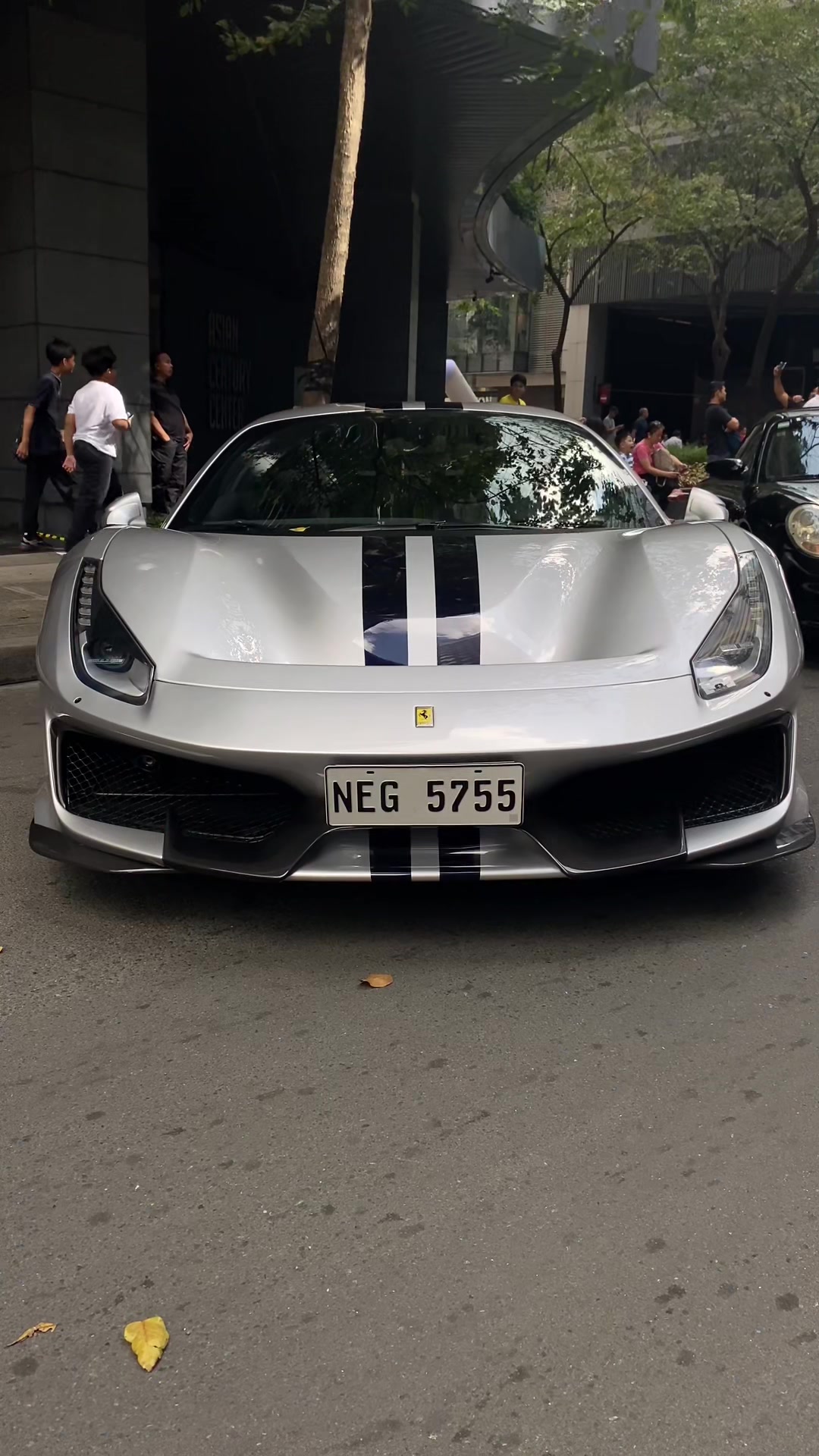 @Manila Exotics