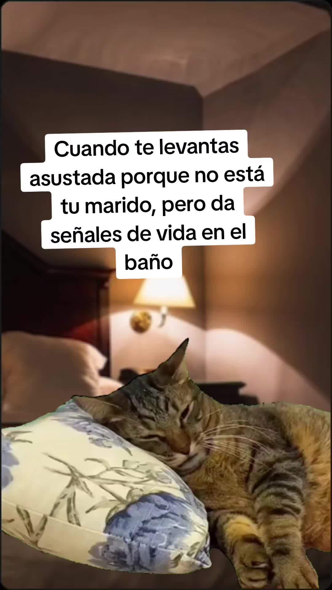 @Jonatan Torres