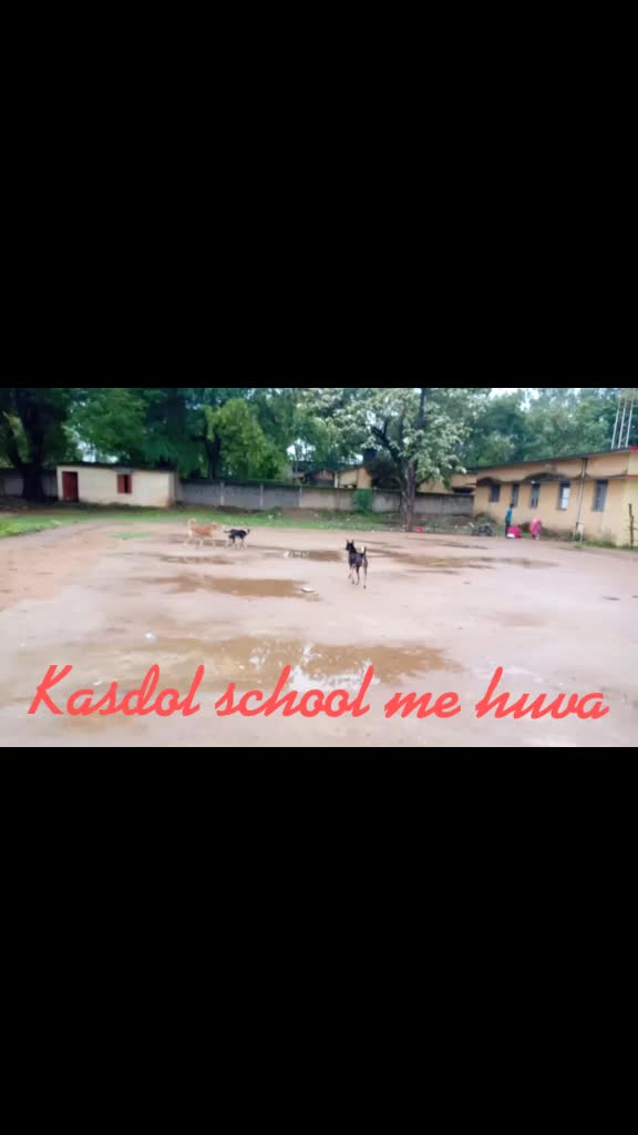 @Rohit Kumar Nishad