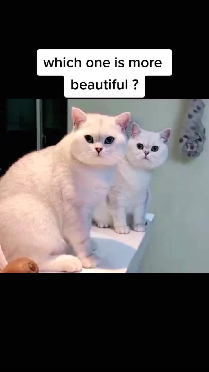 @user87357065893