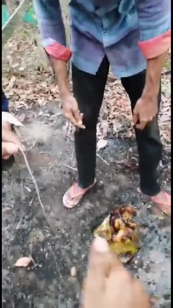 @nazeerikka