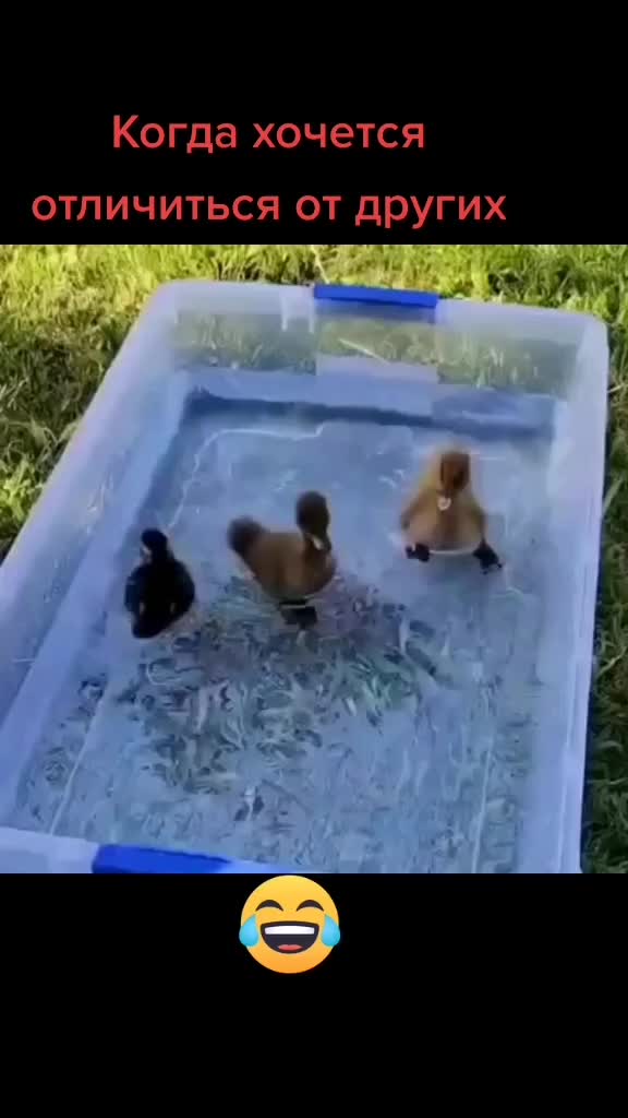@IGOR 6899993