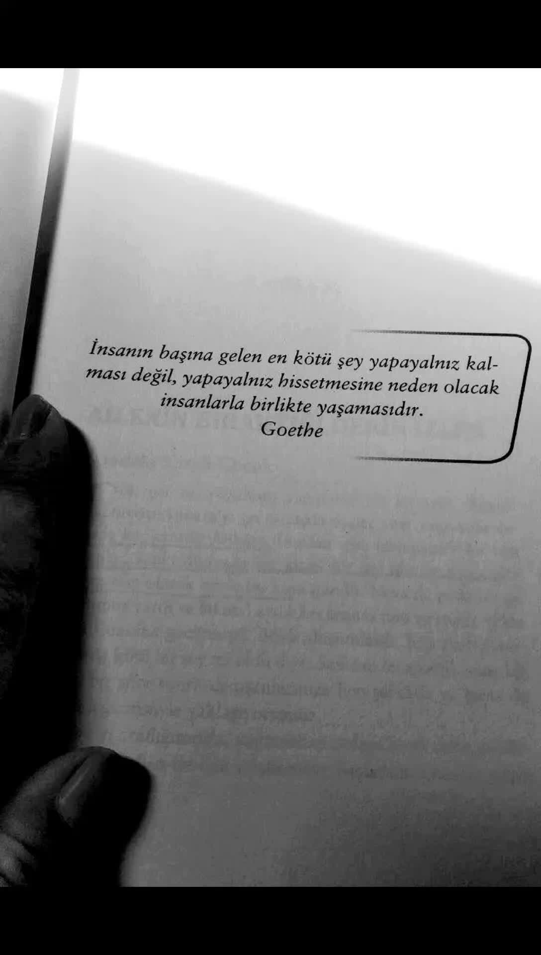 @kitap_kokusu