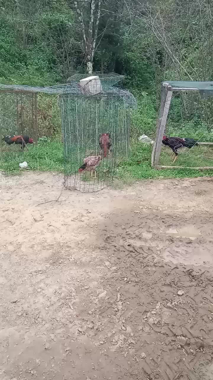 @ORDULU MÜSLÜM
