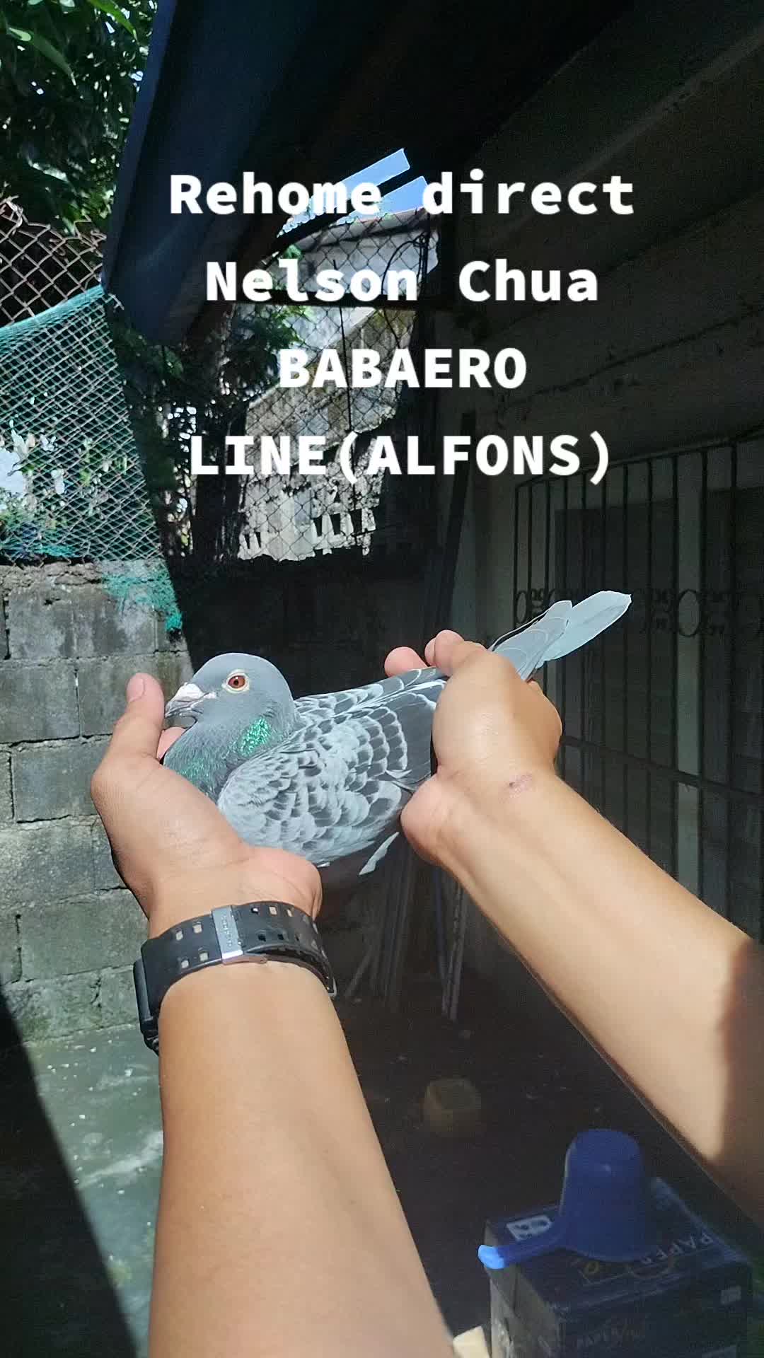 @AL