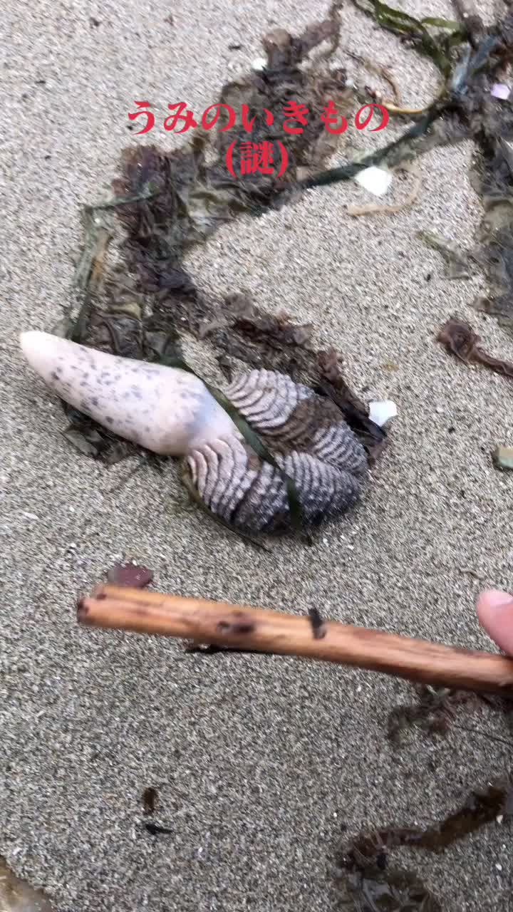 @calm シーグラスと天然石