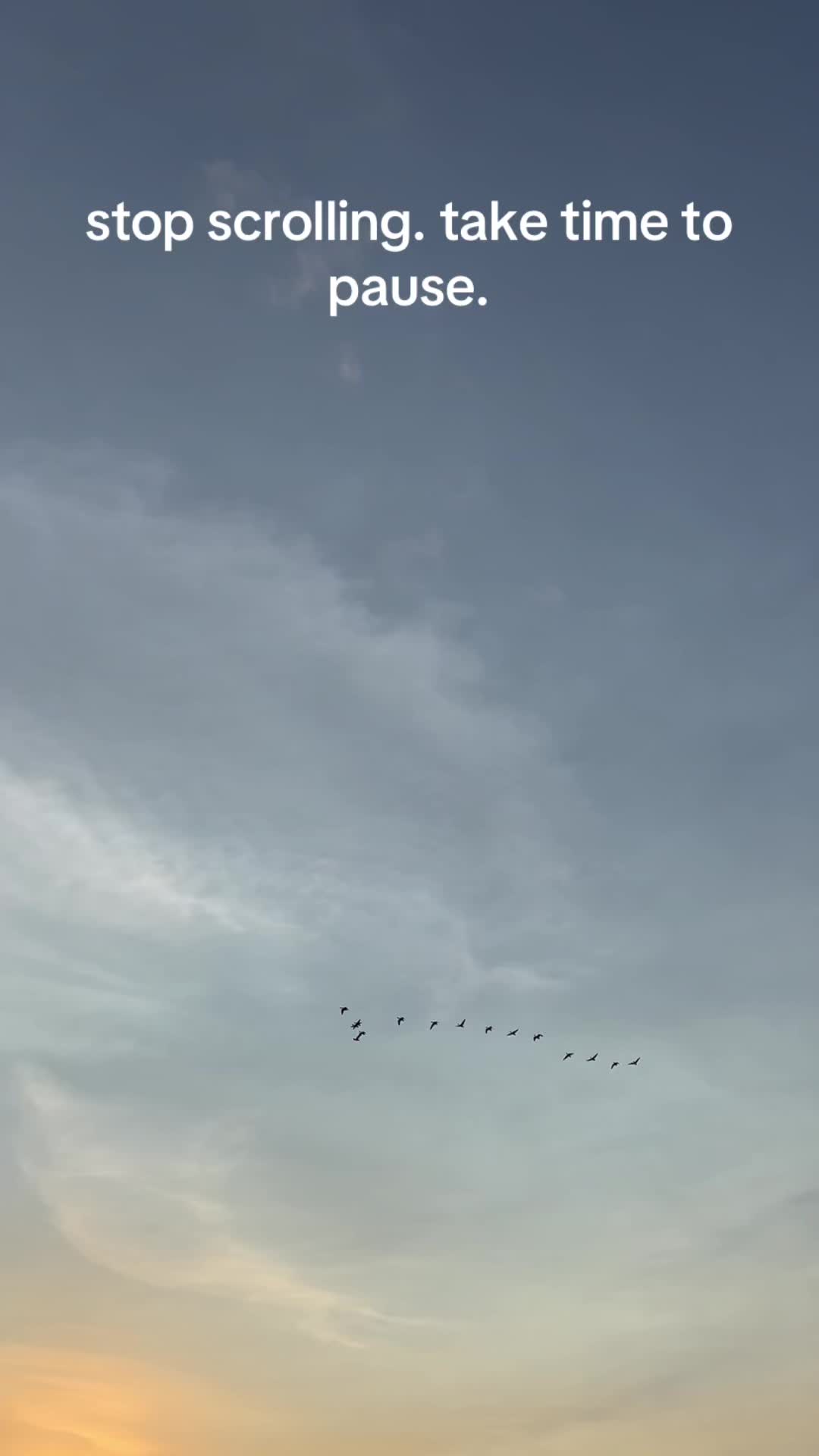 @Greenemules