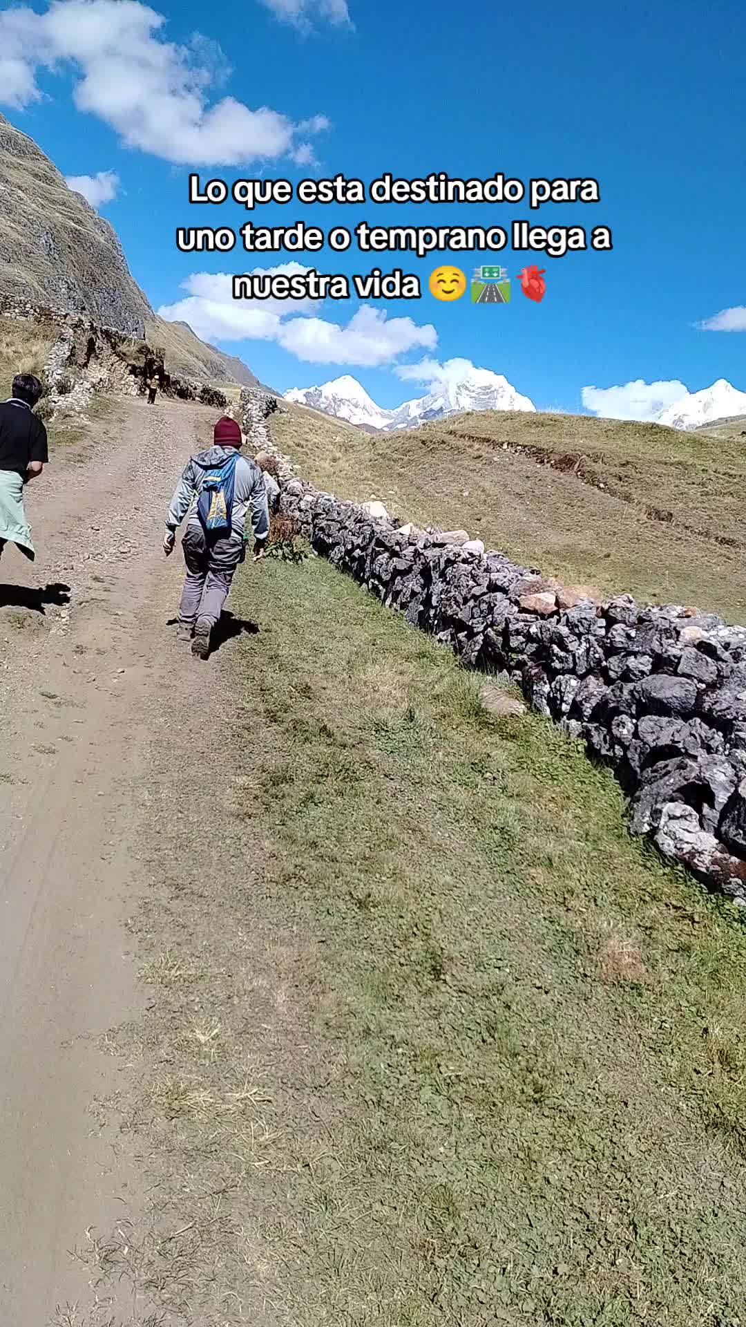 @pedroaldahirjim40