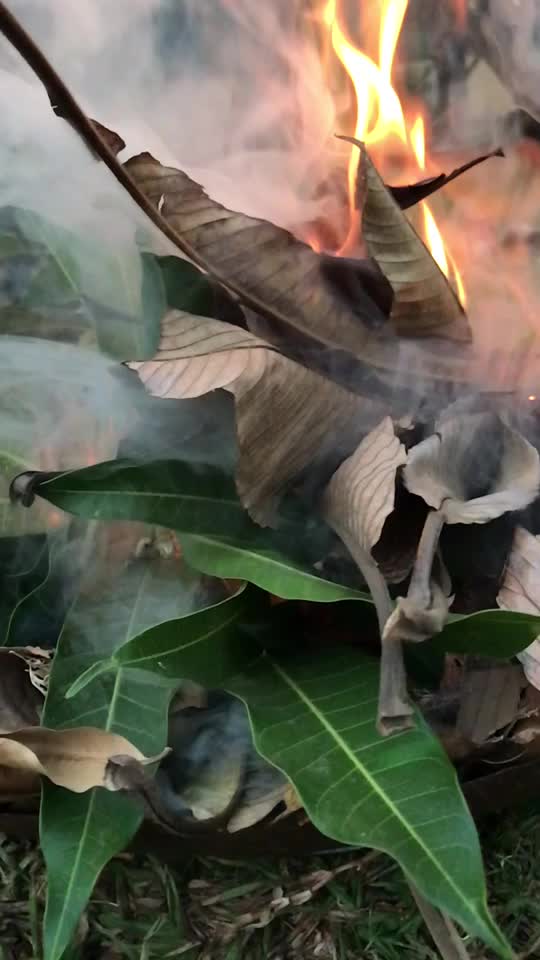 @suryakantlokhande114
