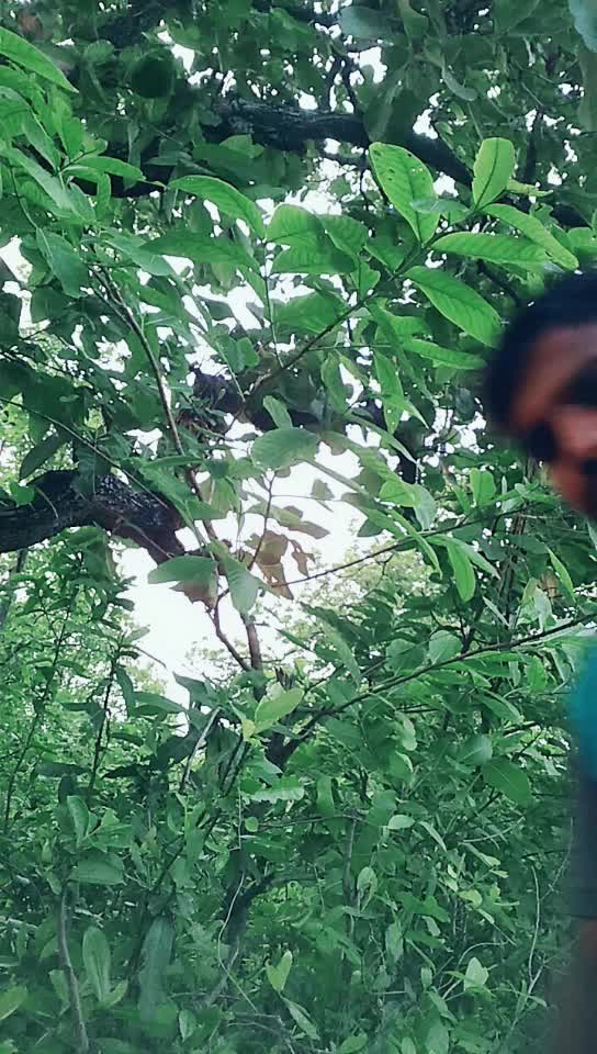 @pratap sahoo