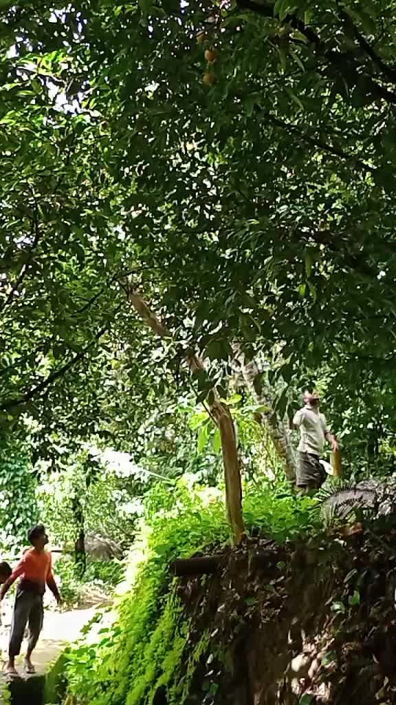 @ammukutty