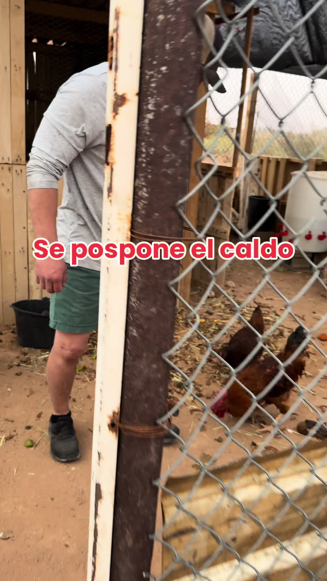 @El BI&Oacute;NICO