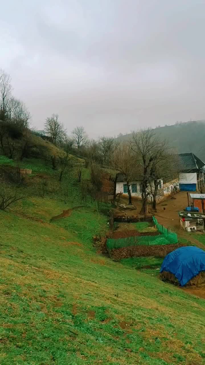 @𝐄𝐥𝐯𝐢𝐧 𝐑𝐳𝐚𝐳𝐚𝐝ə
