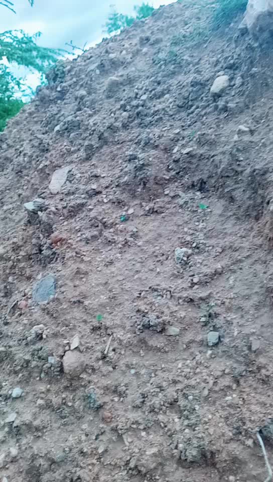 @@Manjukichha