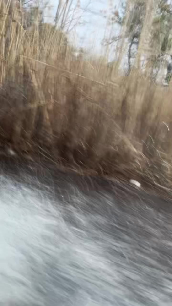 @ℰ𝓾𝓃