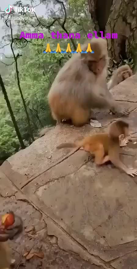 @NR.MURALI