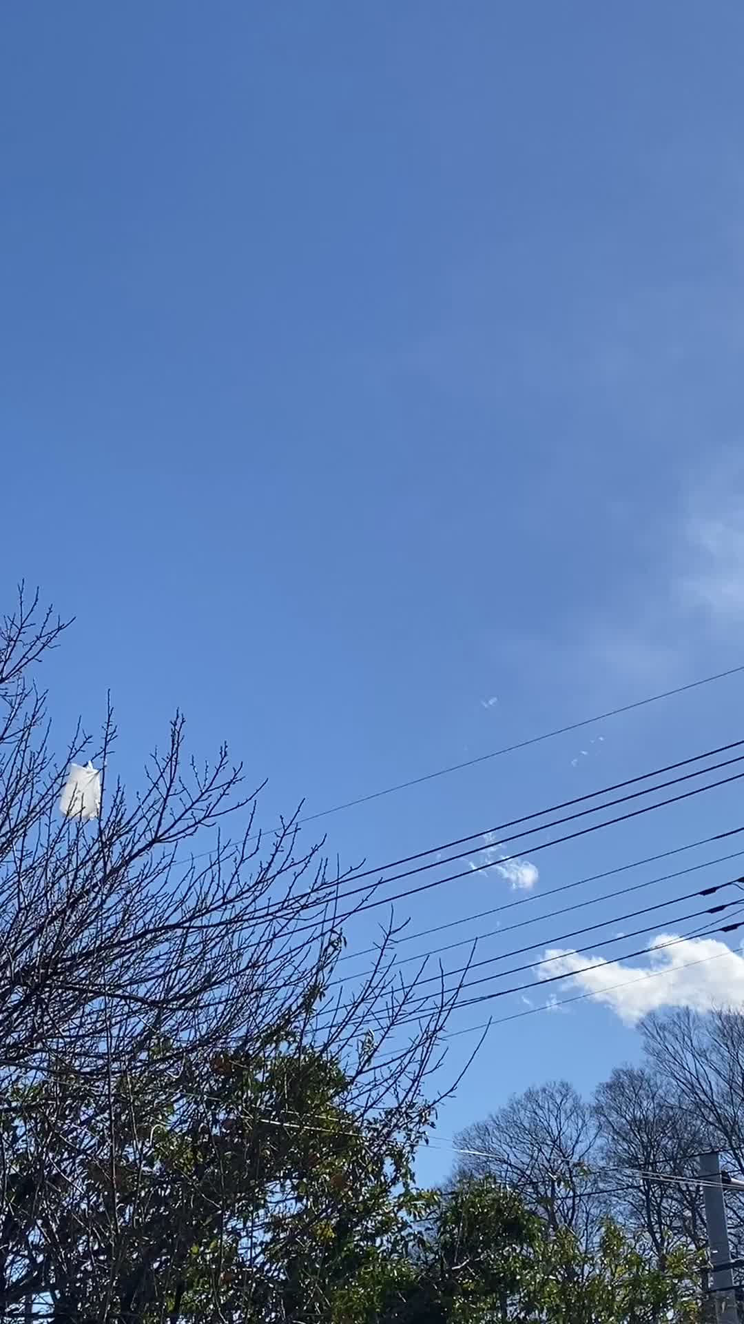 @KAZUïŒã«ãº ïŒð