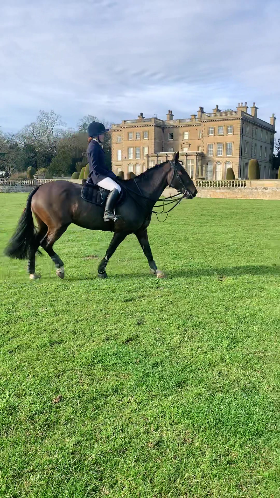 @cedequestrian