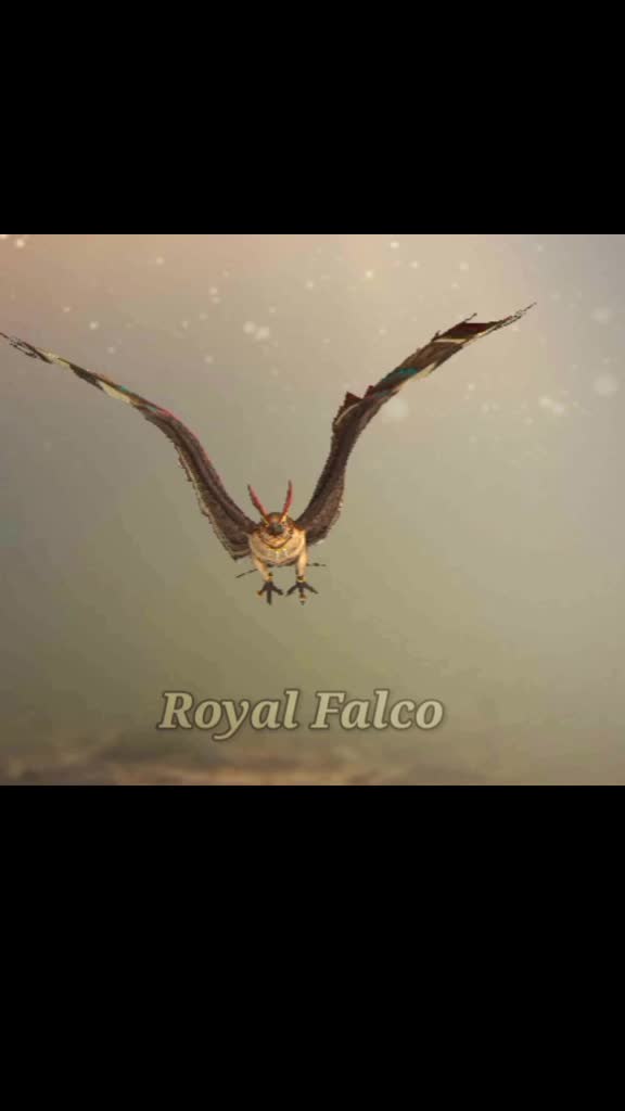 @royalsuman555