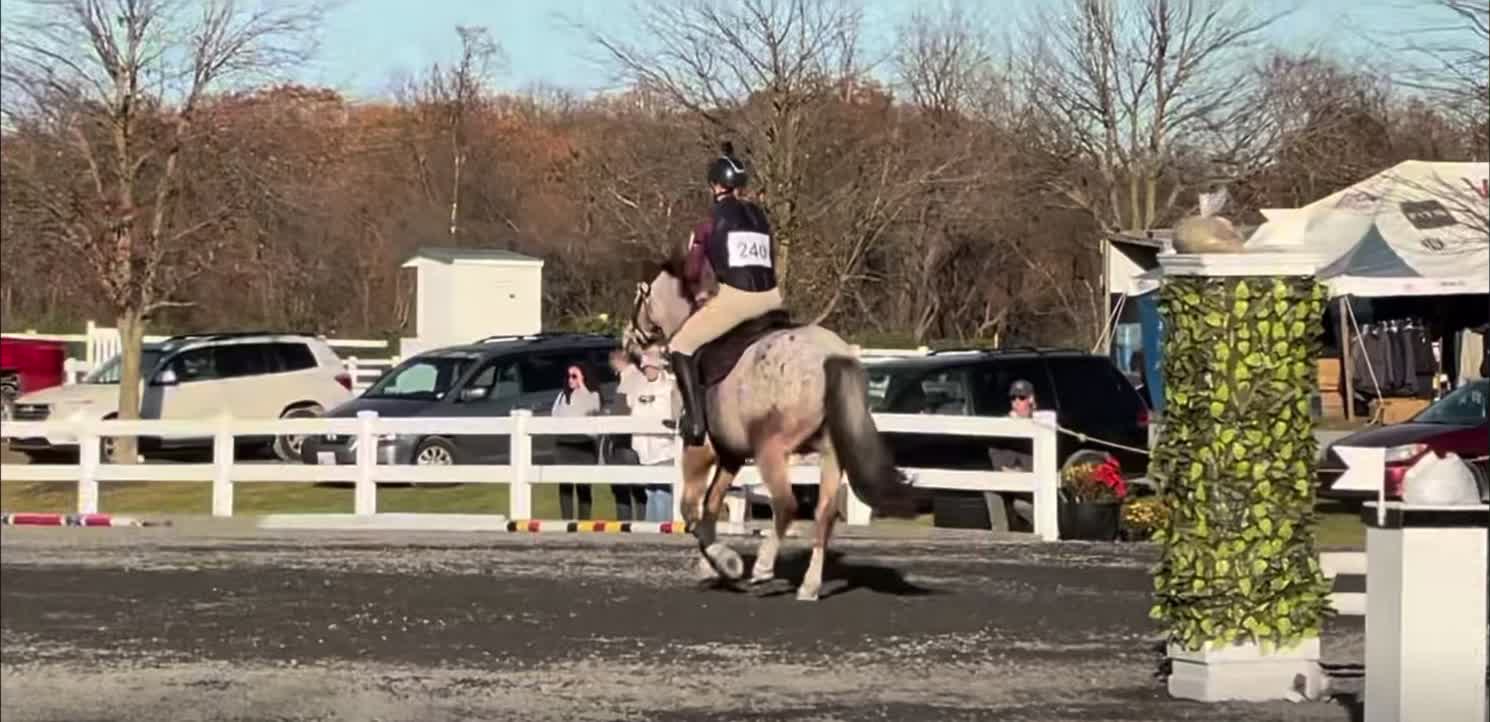 @Equestrian 🐴🐎