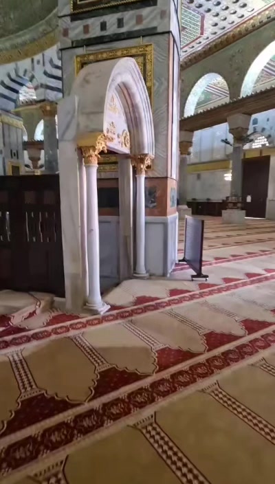@ابو ايهم15
