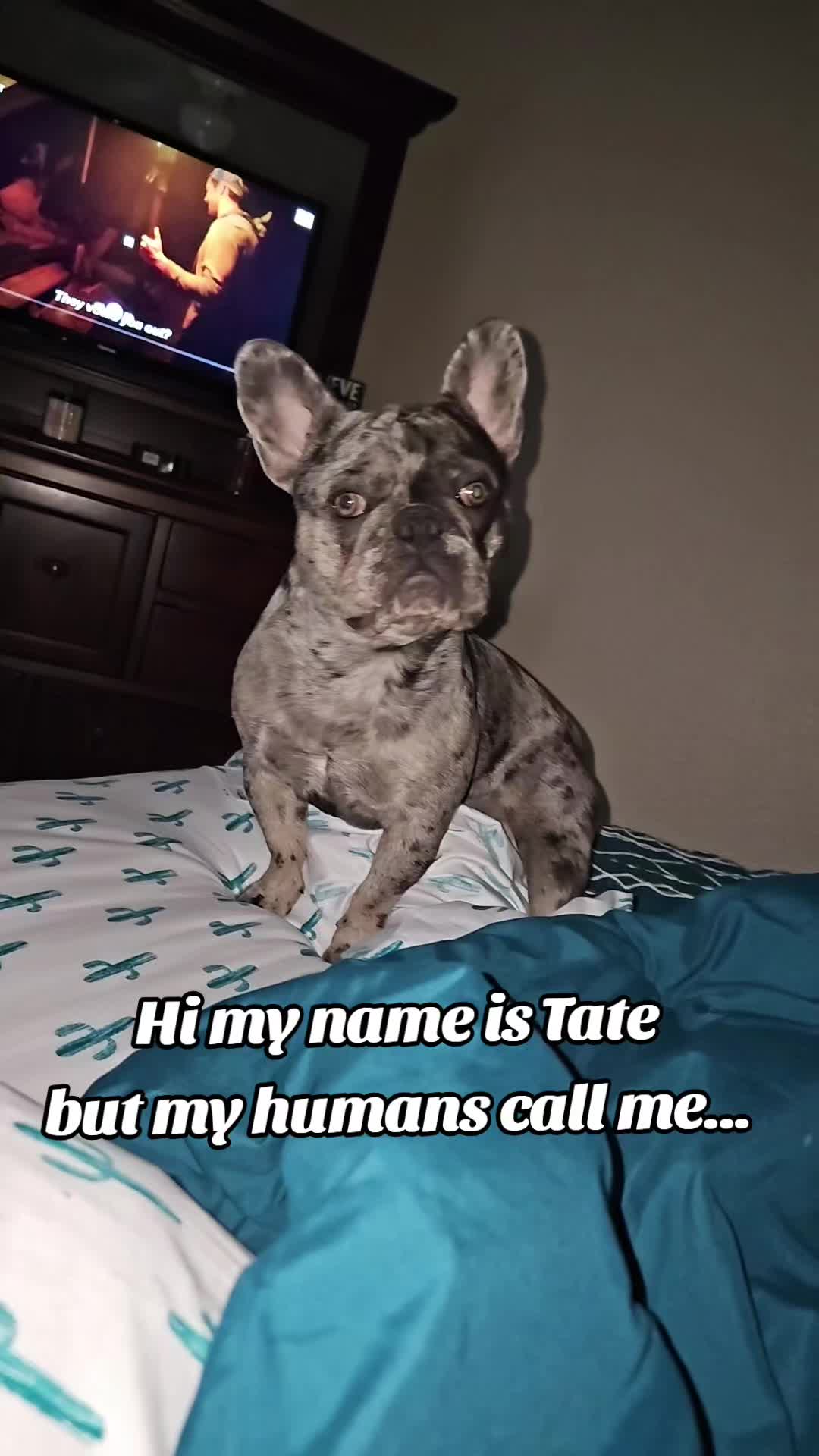 @✨️ KAITLYN ✨️